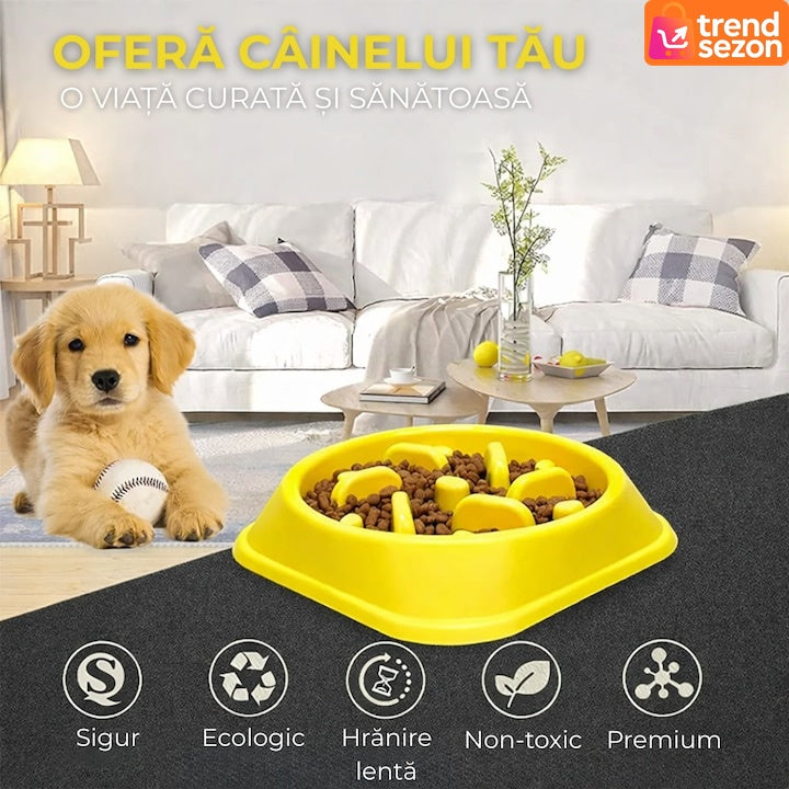 Bol Antiderapant pentru Hranire Lenta — Digestie Sănătoasă pentru Pisici și Câini 🐾💛 Secondary image